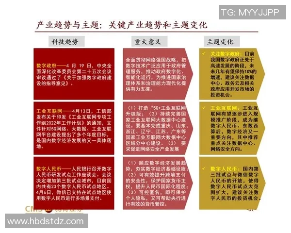 深入分析上海排球队的进攻策略与战术特点探讨
